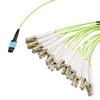 MPO带引脚插口到FLC扇出插口，24根光纤，OM5 50 / 125um多模，OFNR 光缆护套，柠檬绿，3米的图片